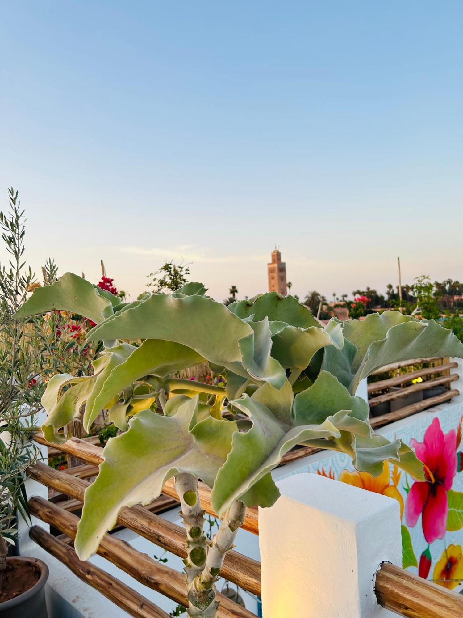 Riad Tsar Mimoun Marrakesh Exterior foto